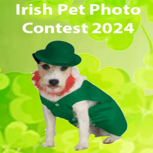 2024 Irish Pet Photo Contest